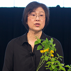 Ikebana