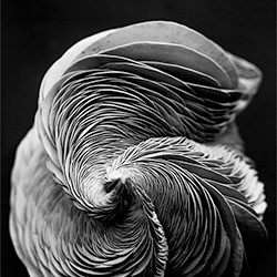 Origami