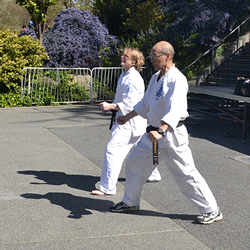 Seido Karate