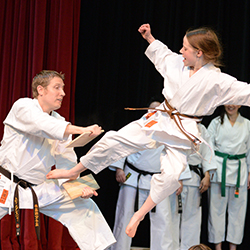 Flying kick