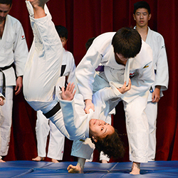 Judo throw