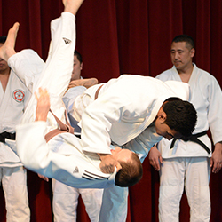 Judo throw